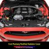 Carbon Fiber Radiator Cover & Hood Latch Guard for 15-17 Ford Mustang