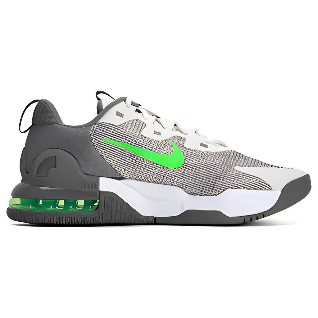 Nike Мужские кроссовки Air Max Alpha Trainer 5 Phantom Green Strike серо-белые оловянные DM0829-009
