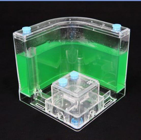 Ant Castle Ecosystem Toy with Free Shipping (Excludes Remote Areas)