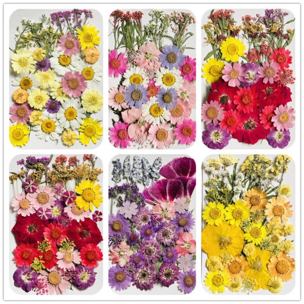 Natural Herbs Kit Dried Pressed Flowers Real Pressed Flowers Dry Leaves Bulk for Scrapbooking DIY Art Crafts Epoxy Jewelry Molds Soap Making