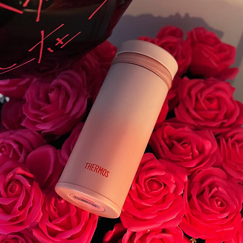 Thermos TCNO-250 Набор из нержавеющей стали с термоизоляцией