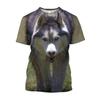 Russia Siberian Husky Printed T-shirts Cute Dog Casual Graphic T Shirt For Men Harajuku Fashion Clothing T-shirt
