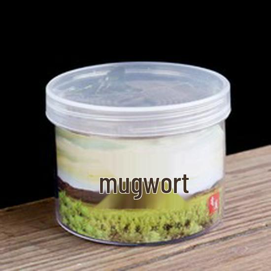 Natural Agarwood & Sandalwood 48-Coil Incense for Bedroom Air Purification with Mugwort in Home Use Paper Box