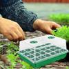 12/24/48 Holes Seed Starter Trays Gardening Seedling Pot Humidity Dome Plant Pot Garden Accessories Hydroponics Growing System