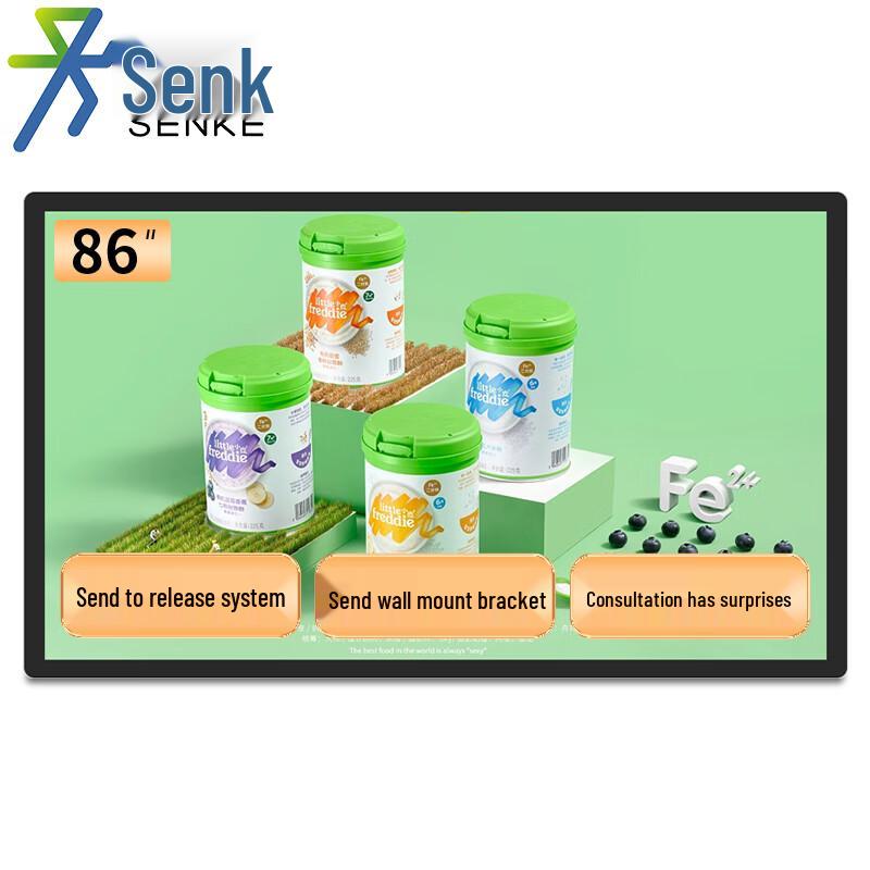 Senke Wall-Mounted Network LED Digital Signage Display