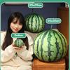 Милая Плюшевая Кукла-Подушка Арбуз - круглая Овальная Реалистичная Фруктовая Игрушка для Украшения Дома Веселый Подарок для Объятий для Мальчиков и Девочек