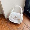 Fashionable Casual Handheld Small Square Bag 2024 Spring Popular New Simple Single Shoulder Diagonal Commuter Women's Bag