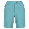 Regatta Женские/женские шорты Mountain II