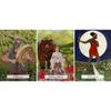 10.3*6cm The Witches’ Wisdom Tarot A 78-Card Deck