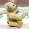 [USED] Handmade beige teddy bear with a small face, approximately 20cm