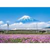 500 Piece Jigsaw Puzzle Astragalus Flowers and Mt. Fuji (Shizuoka) (38x53cm)