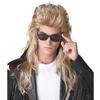 California Costume 80's Rock Musician Men's Wig 70626