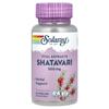 Shatavari Root Extract, 500Mg, 60 Veggie Capsules