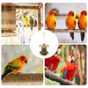 Bird Feeder Food Dispenser Squirrel-Proof Removable Base Hummingbird Feeder for Garden Yard Window Deck Pole Chicken Coop