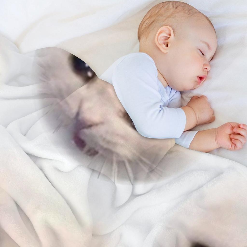 Грустный кот Плед теплый зимний хэллоуин Термальные декоративные пледы