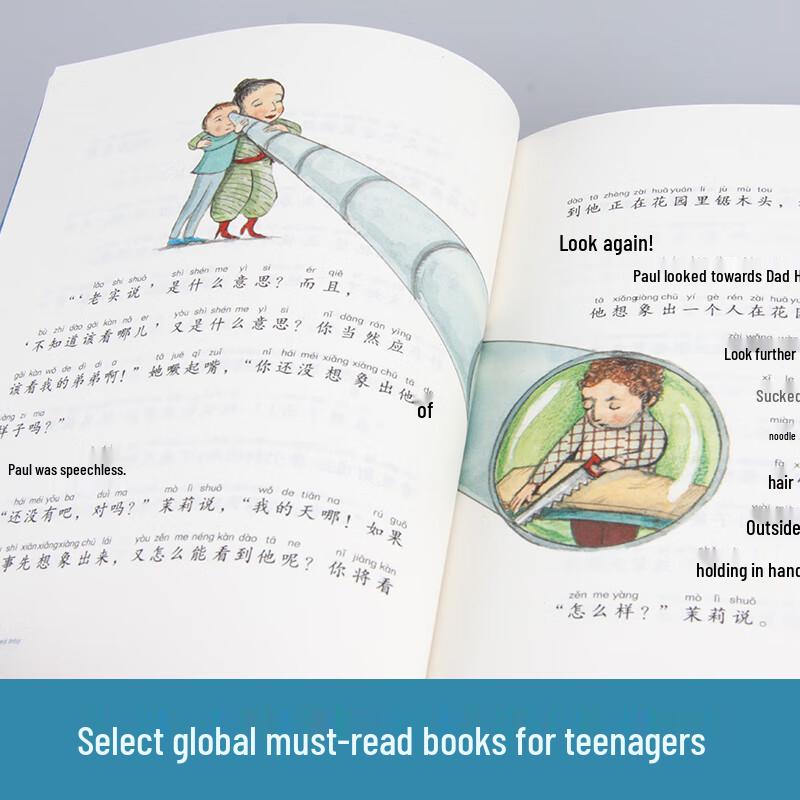 Little Evergreen International Award Novels (Pinyin Edition)