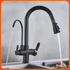 Zhuchuang Jingpin 3-in-1 Pull-Out Kitchen Faucet with Purified Water