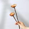 Wabi-Sabi Style Dried Flower Vase with Natural Reeds, Cattails, and Wheat (30-40cm)