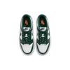 Nike Dunk Low GS Michigan State Kids Sneakers White Team-Green Total-Orange CW1590-102