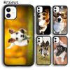 Krajews Cute Jack Russell Terrier Phone Case Cover For iPhone 14 5 SE 6s 7 8 Plus X XR XS 11 12 13 Pro Max Samsung S21 S22 Ultra