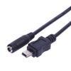 Mini USB Charging Cable for Tablets, Phones, Cameras  3.5x1.35mm Female to Mini USB Male 20cm Length