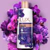Lux Nourishing Beauty Shower & Hair Care Set