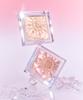[CLIO] Prism Glow Highlighter