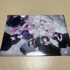 Pseka Procica Nigo Album Bonus Clear File Merchandise