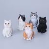 Сидящий Кот Домашнее Животное Модель Милый Мини Кот Украшение Креативное Украшение Кот Настольное