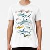 Hammerhead Sharks of the World T-Shirt S-5XL Best T-Shirt