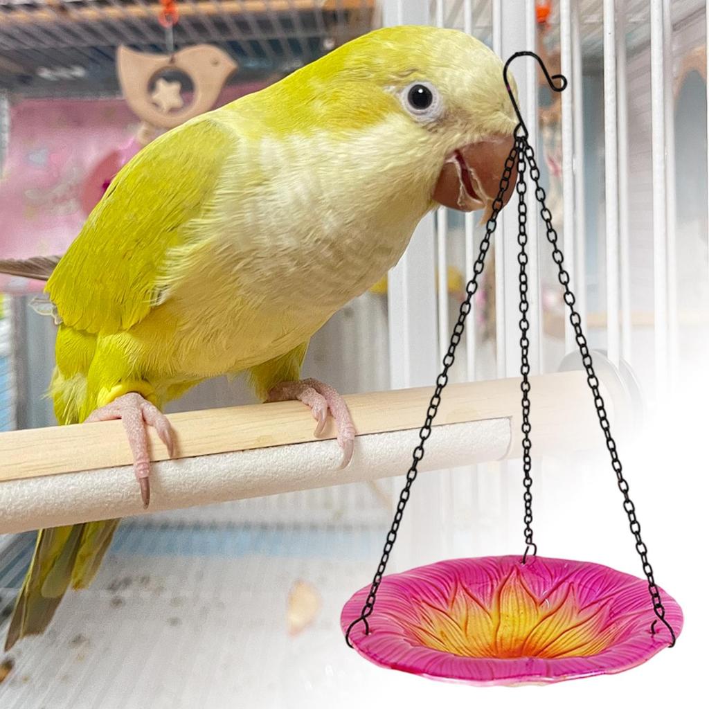 Bird Bath For Outside 8 Inches Flower Shape Basin Decorative Bird Baths For Lawn Backyard Patio Wildlife Outdoor Yard Balcony