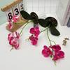 Two Realistic Branches Butterfly Orchid Green Plant Bonsai For Indoor Decor
