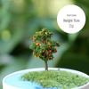 Pink Peach Flower Tree Miniature Ornament for DIY Landscaping