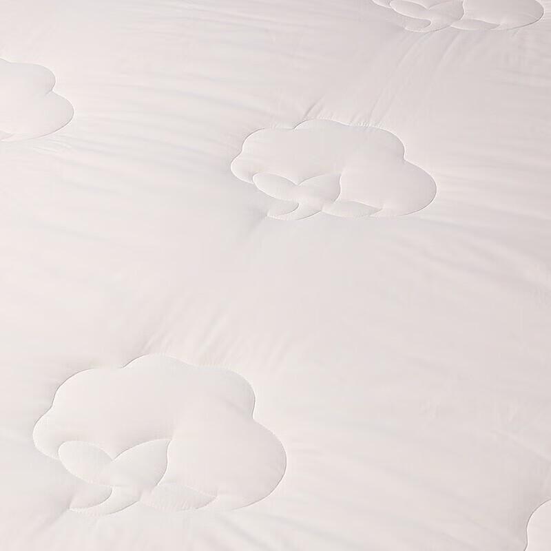 FUANNA 40S Brushed Winter Quilt