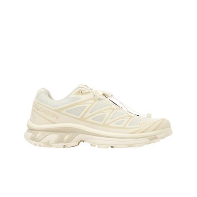 Кроссовки унисекс XT-6 Vanilla Ice Almond Milk кремовые L47445300