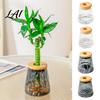 Durable PET Hydroponic Container Planter with Lid Glass-Like Clear Plant Propagation Station Desktop Pothos Water Culture Vase Flower for Cuttings,