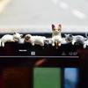 Статуэтка кошки Милый смоляной кошачий орнамент Настольные украшения для автомобилей для прицепа фургона грузовика автомобиля седана пикапа спальни гостиной