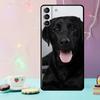 Черный Лабрадор Собака Чехол для Телефона Для Samsung Galaxy S24 Ultra S20 S21 S22 S23 S25 Ultra S9 S10 Plus S24 FE Чехол