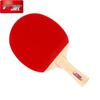 Набор ракеток для настольного тенниса DHS для начинающих, тип I