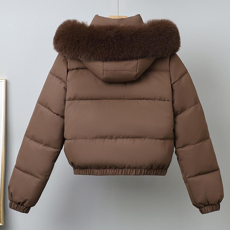 Модное зимнее пальто женское короткое парки с капюшоном воротник из искусственного меха свободное толстое теплое женские куртки