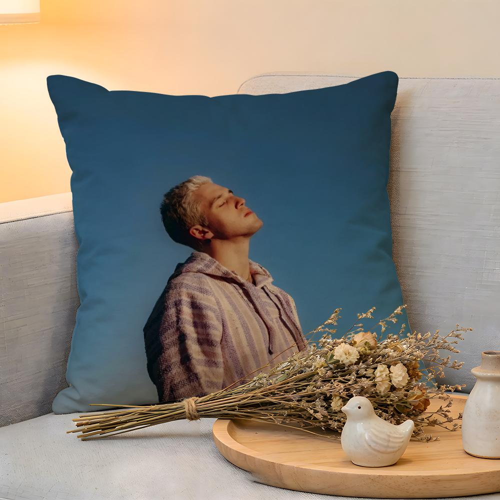 Cushion Cover Linen SkinFriendly Soft Decorative Case For Sofa Home Decor Hot Chill Singer LLauv Pillow cover