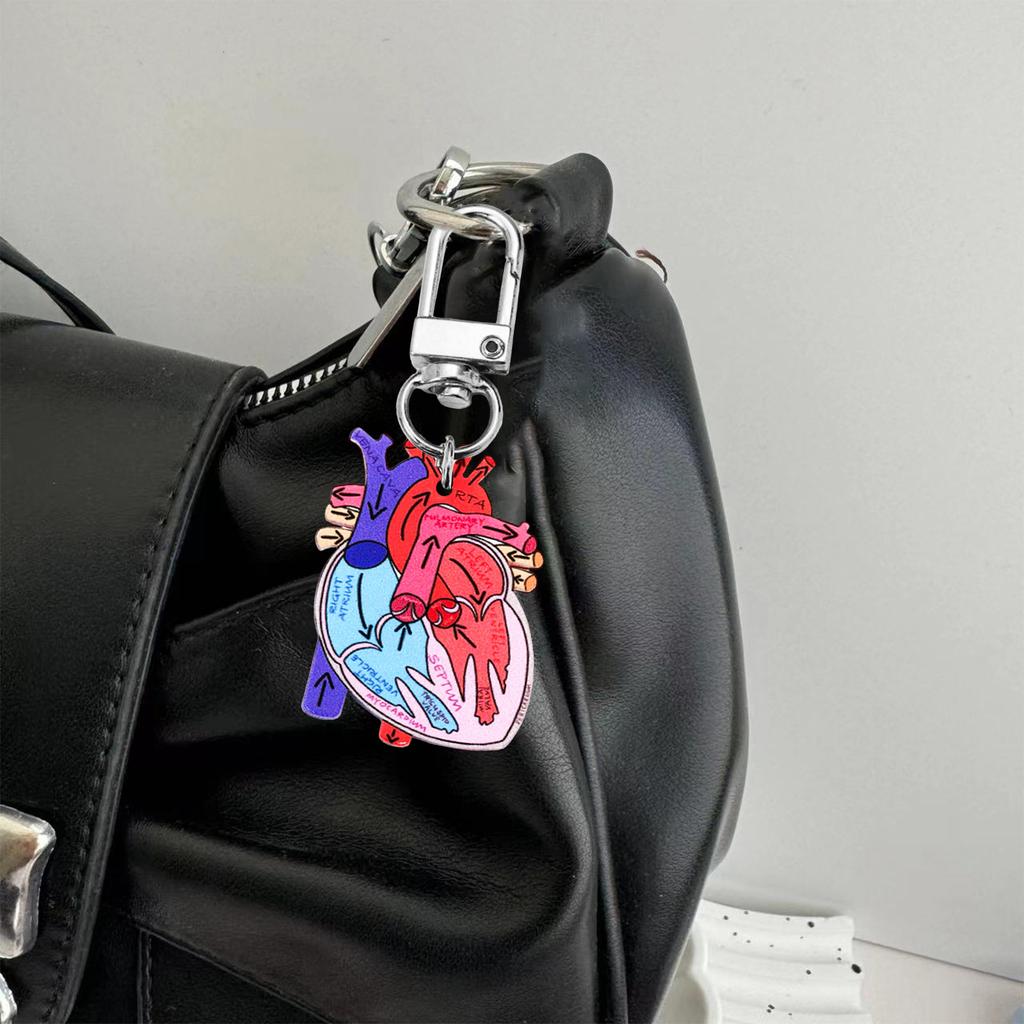 Human Heart Diagram Keychain Detailed Heart Keychain Accessory for Teaching Anatomy To Adults and Children