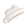Aesthetic Hair Claw Clip Shimmering Hair Shaping Jaw Clip Ponytail Holder Spring Clamp for Female Various Hairstyles