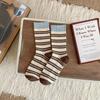 Women's Korean Style Autumn & Winter Contrast Stripe Cotton Socks