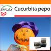 Сад в пакете - Тыква - Тыква-фонарь - 10 семян - С субстратом в подходящем стоячем пакете - Cucurbita pepo