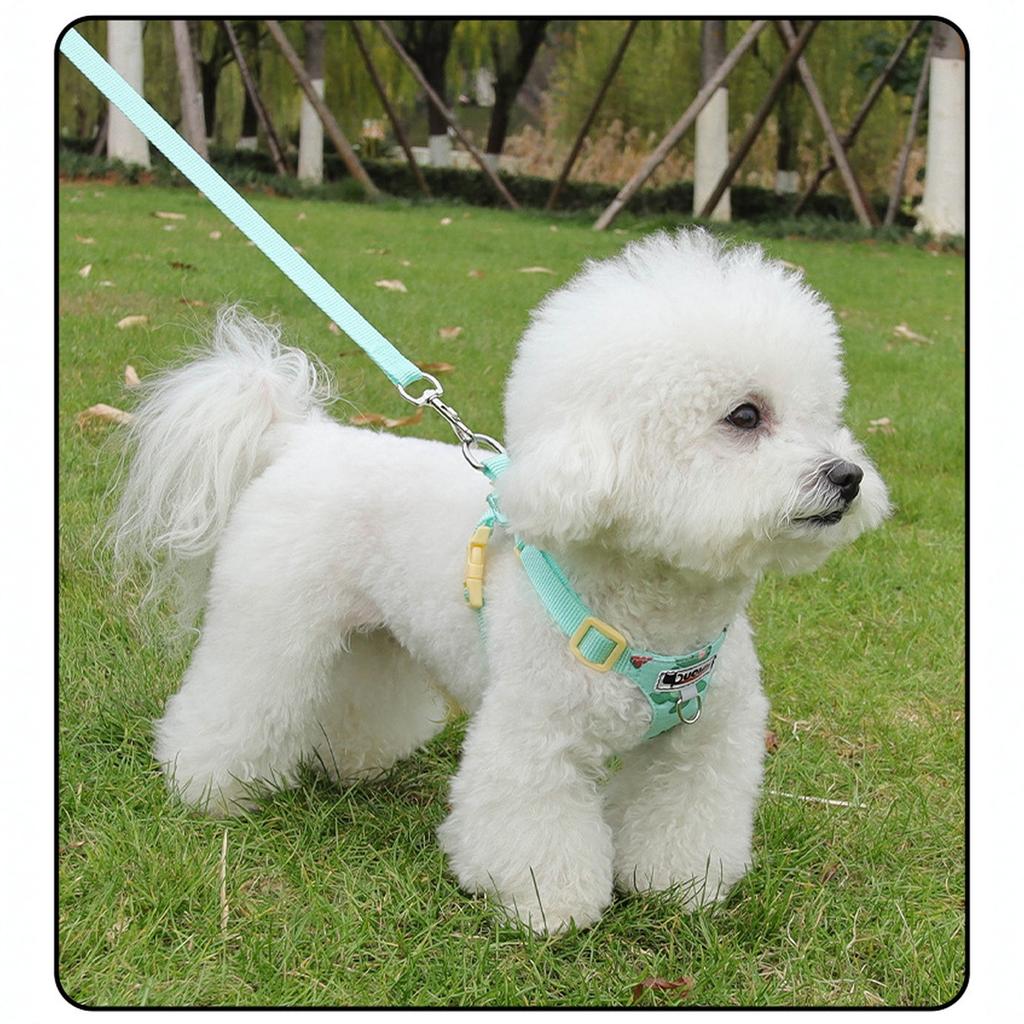 Dog with Traction Rope, Orange and Hexagonal Design, I-Shaped Abdomen