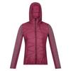 Regatta Womens/Ladies Pemble IV Hybrid Soft Shell Jacket