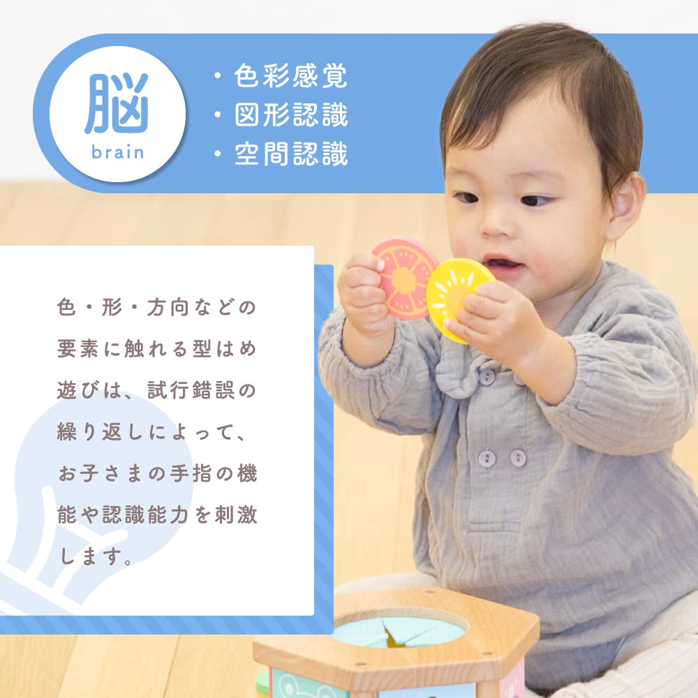 Woodypuddy First Building Building Educational Fits 10 Months and 0 Years Old Blocks, Mouth-Mouth Box, Blocks, Toy,