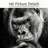 Modern Black Gorilla Canvas Paintings Nordic Animals Art Posters and Prints Monkey Wall Pictures for Living Room Home Decoration