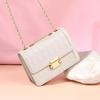 Женская сумка Crossbody Bag Chain Light Luxury High-grade Delicate Small Bag Female French Niche